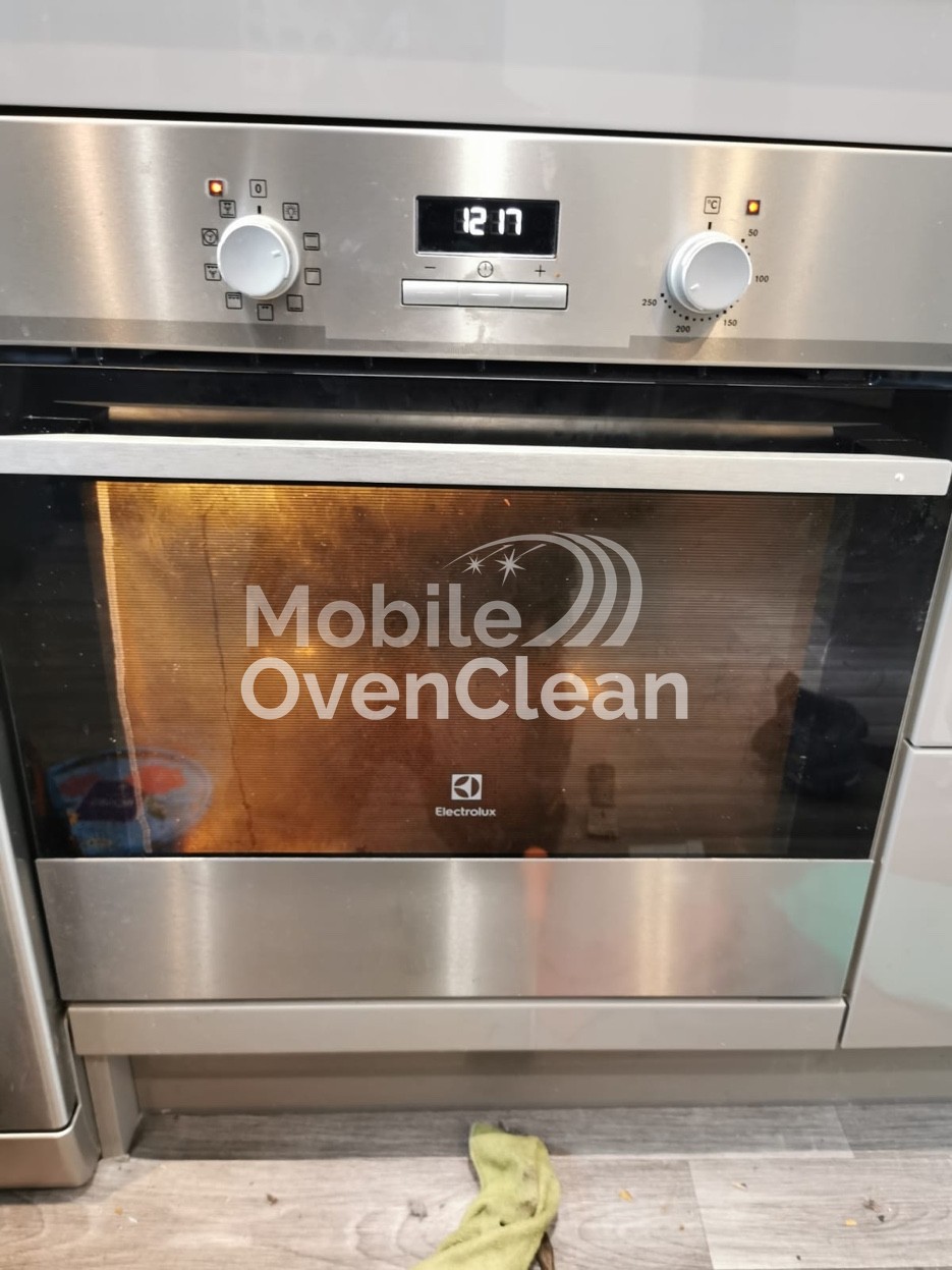 Oven before professional cleaning — grease and carbon build-up on Electrolux single oven